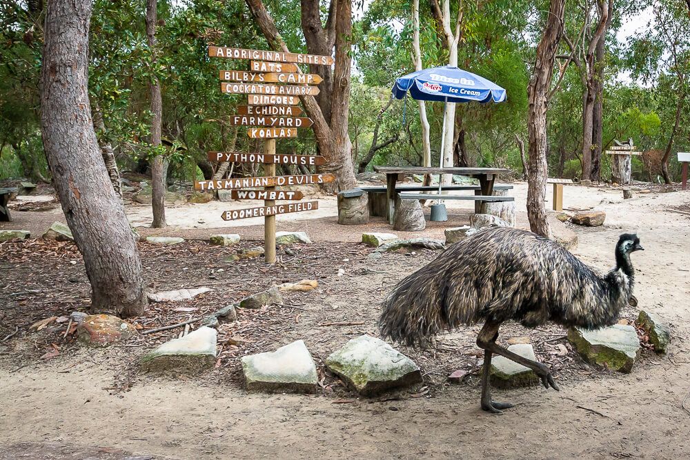 australia-walkabout-wildlife-park-3